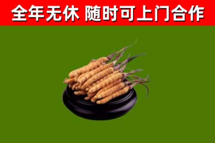 永德县烟酒回收冬虫夏草.jpg