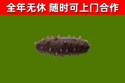 永德县烟酒回收干海参.jpg